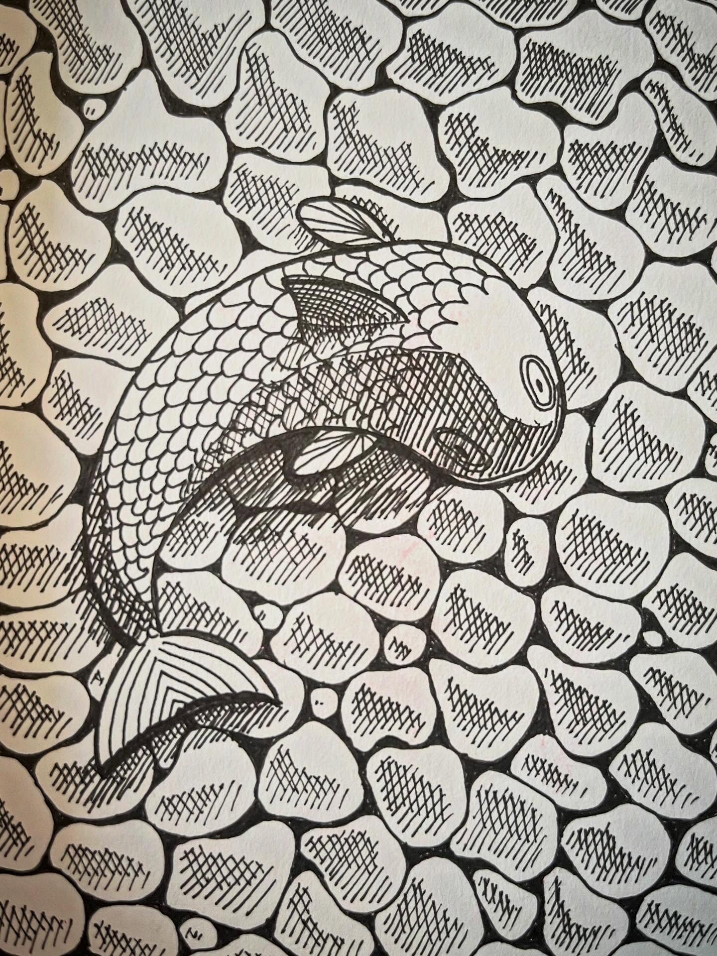 A fish above some stones