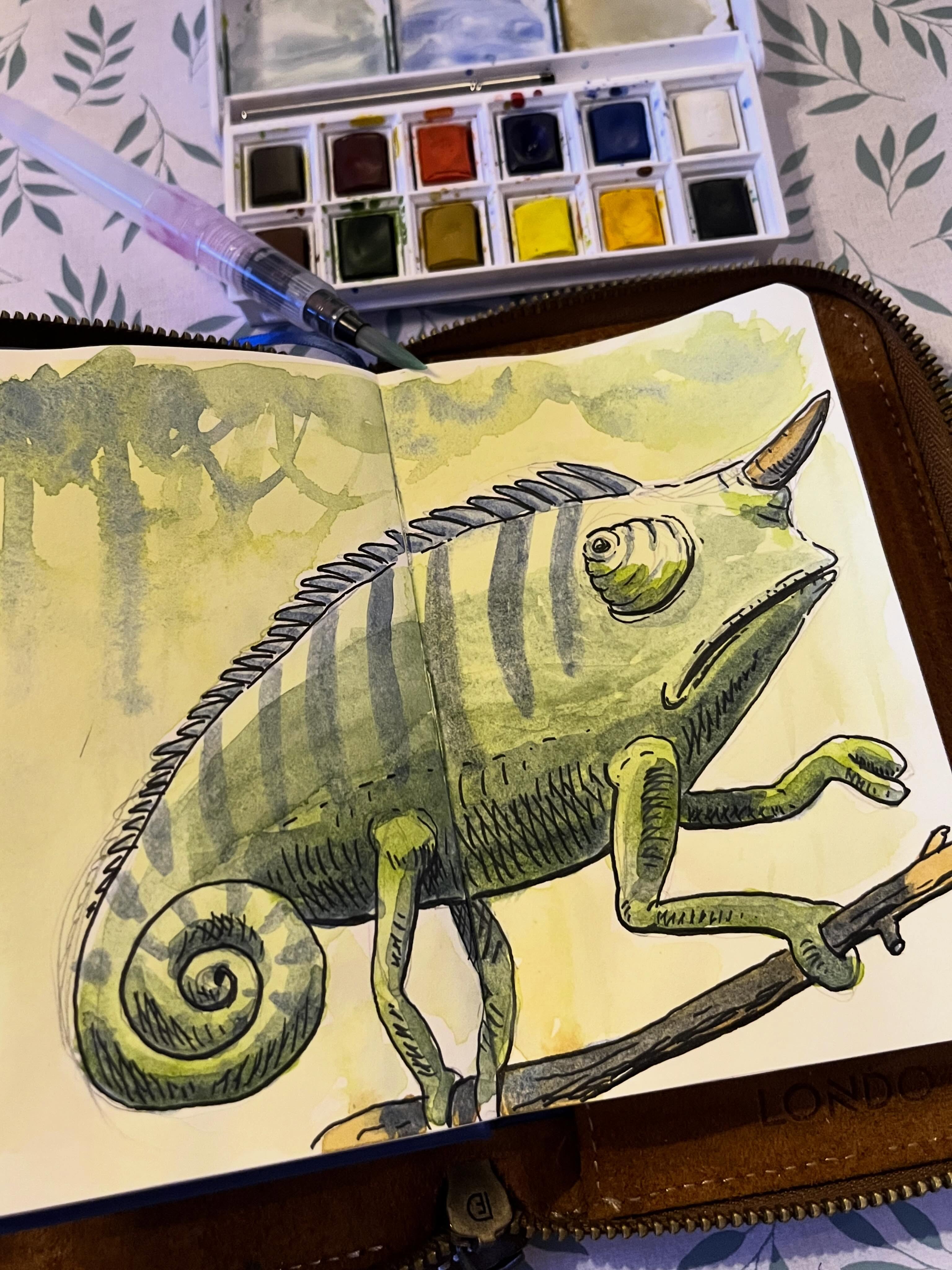 A Chameleon